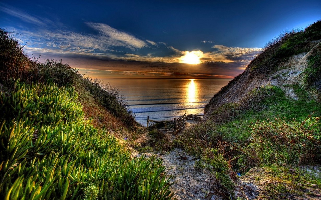 nature, Landscape, Path, Beach, Sea, Sunset, Shrubs, Sky, Clouds Wallpaper HD / Desktop and Mobile Background