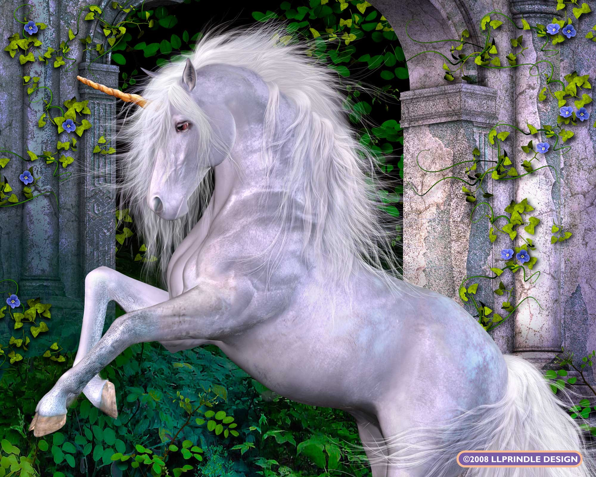 Animal, Horse, Magical, Unicorn Wallpaper • Wallpaper For You