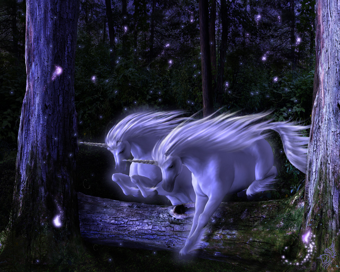 Unicorn Wallpaper In Magical Forest