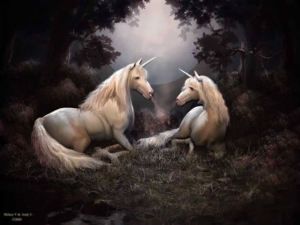 Free download Magical Unicorns 22 Background Hivewallpapercom [1024x768] for your Desktop, Mobile & Tablet. Explore Magical Wallpaper for Desktop. Summer Wallpaper For Desktop, Awesome Wallpaper For Desktop, Funny Wallpaper For Desktop