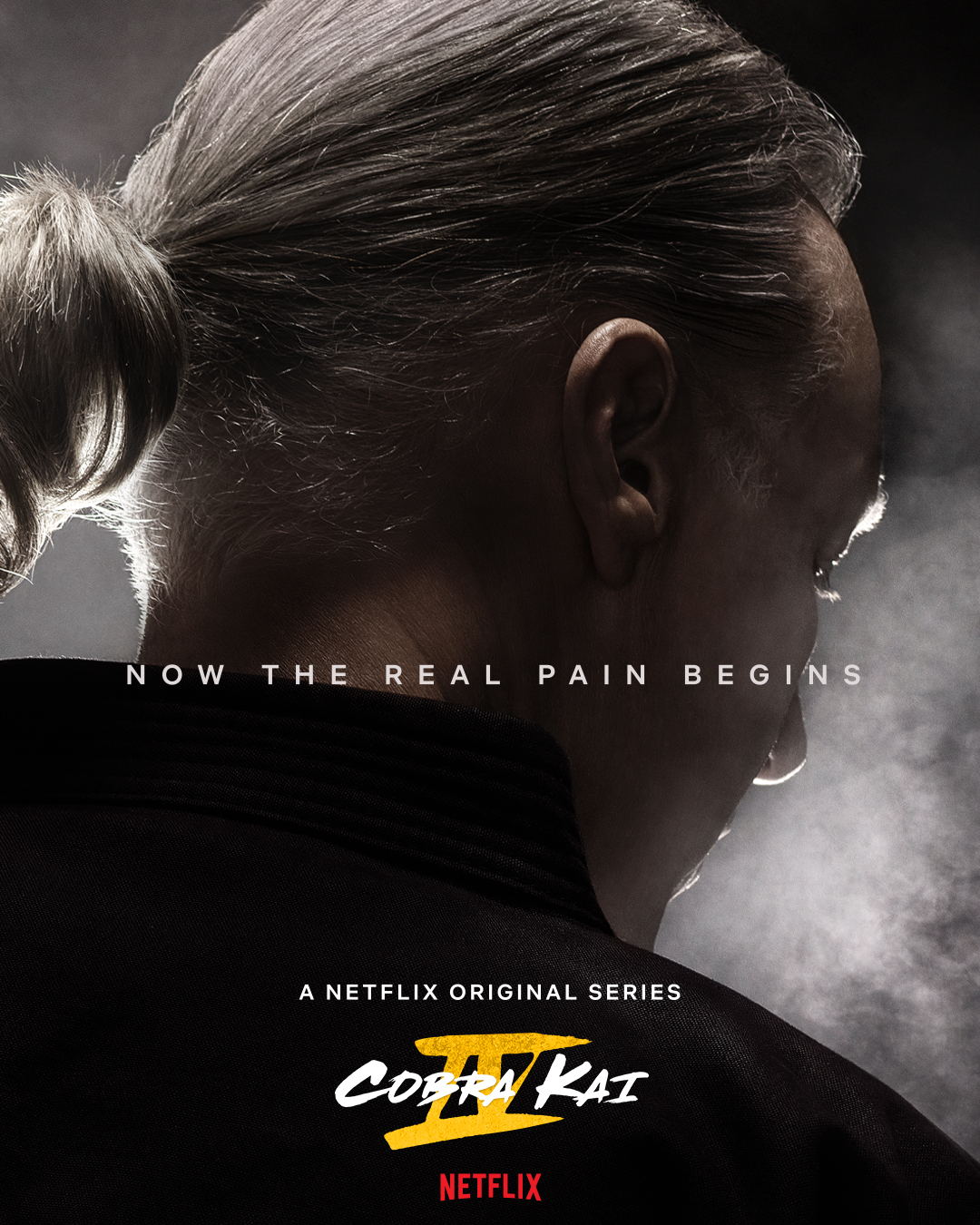 Cobra Kai Season 4 Poster Silver Kai Photo