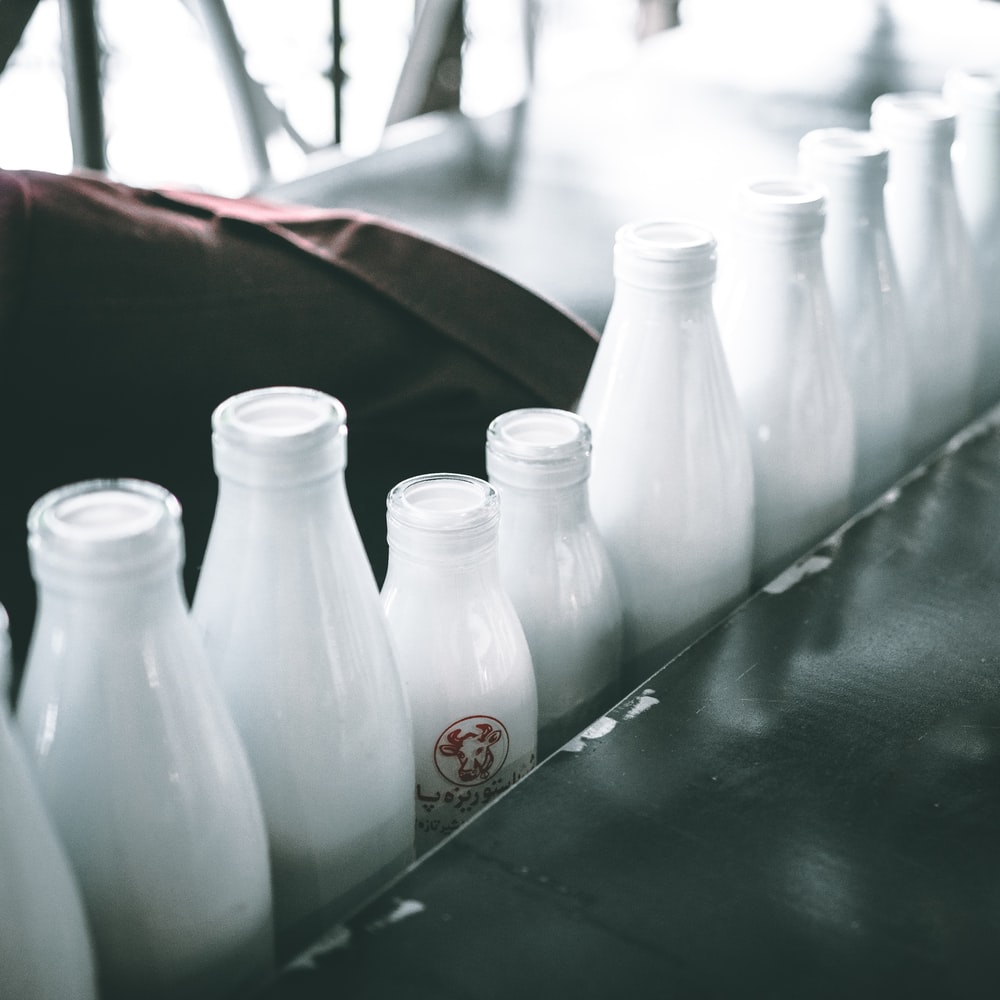 Dairy Picture. Download Free Image