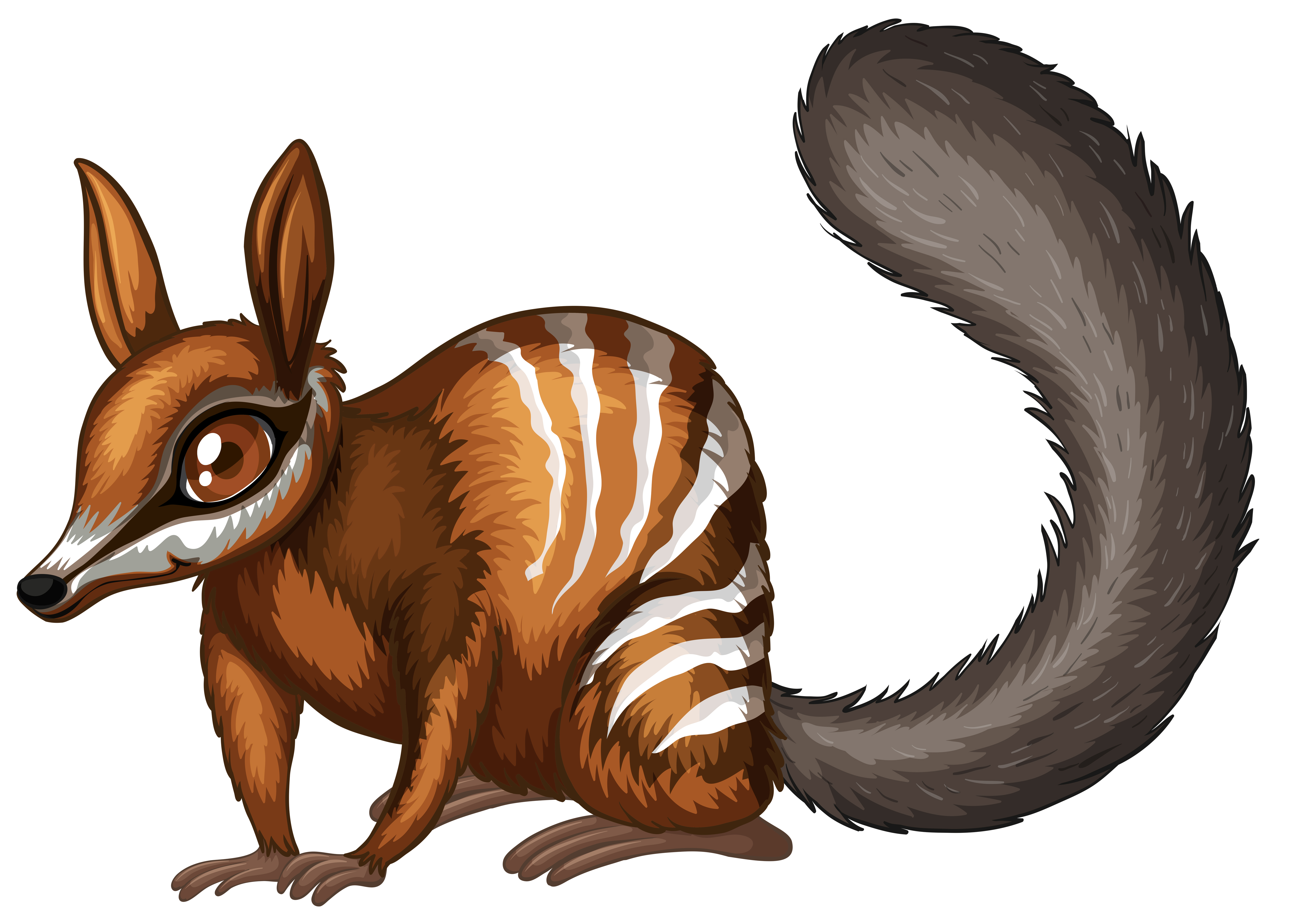 Numbat Vector Art, Icon, and Graphics for Free Download