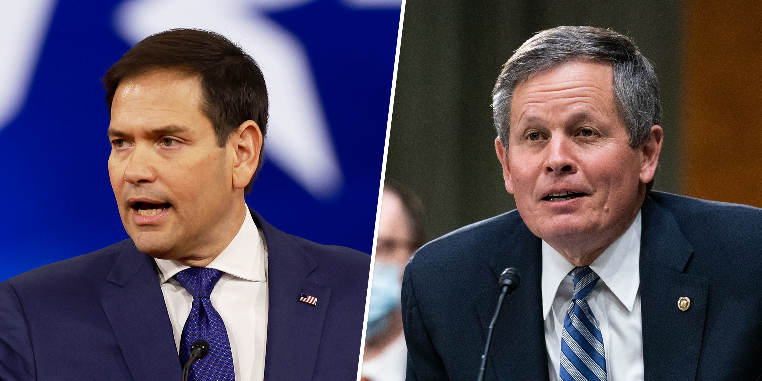 Two GOP senators share photo of Zelenskyy during call after lawmakers asked not to