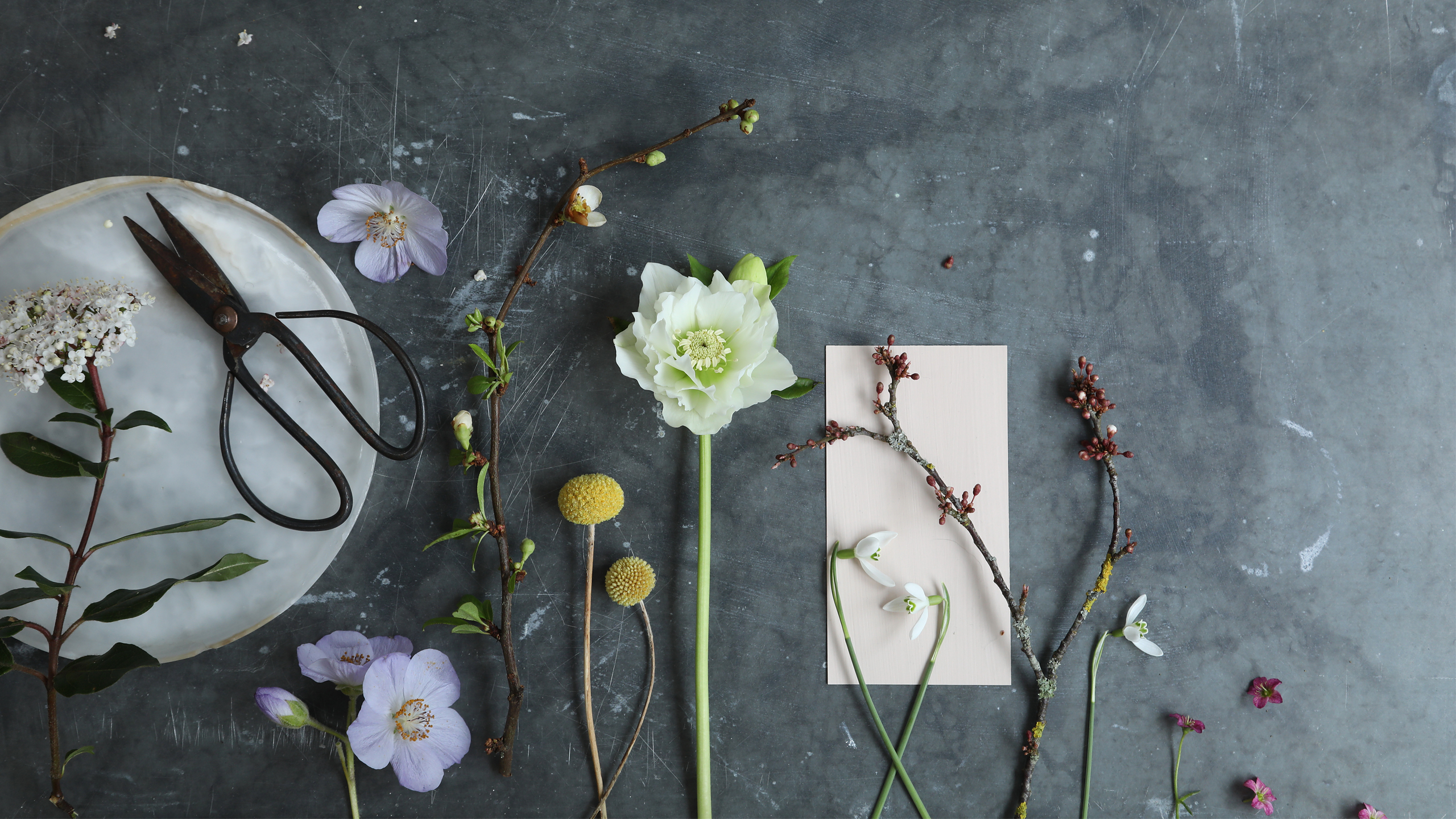 March 2021: Mood board Wallpaper