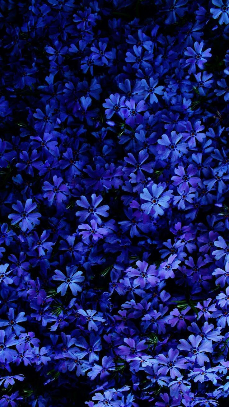 Colour Spring Wallpapers - Wallpaper Cave