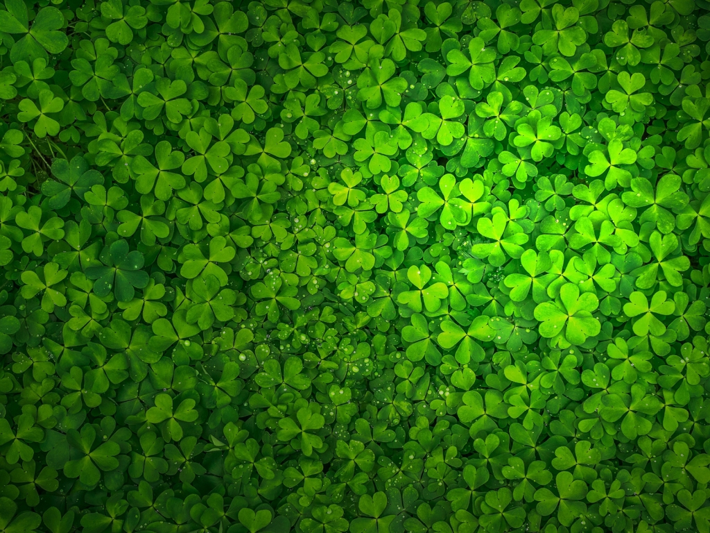 St Patrick's Day 1024 x 768 Wallpaper