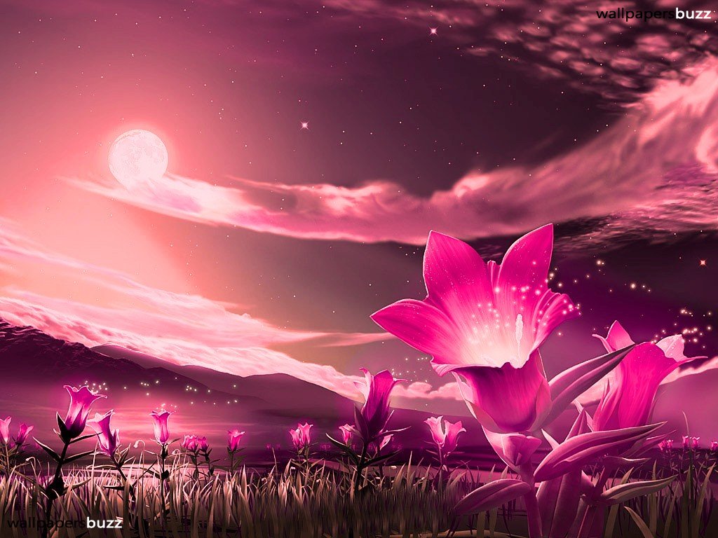 Fantastic Pink Flowers wallpaperx768