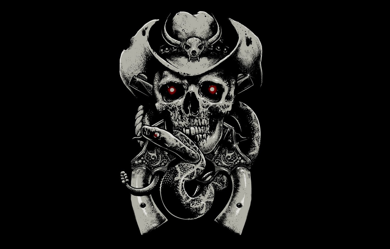 Wallpaper background, fear, skull, snake, hat, sake, revolvers image for desktop, section стиль