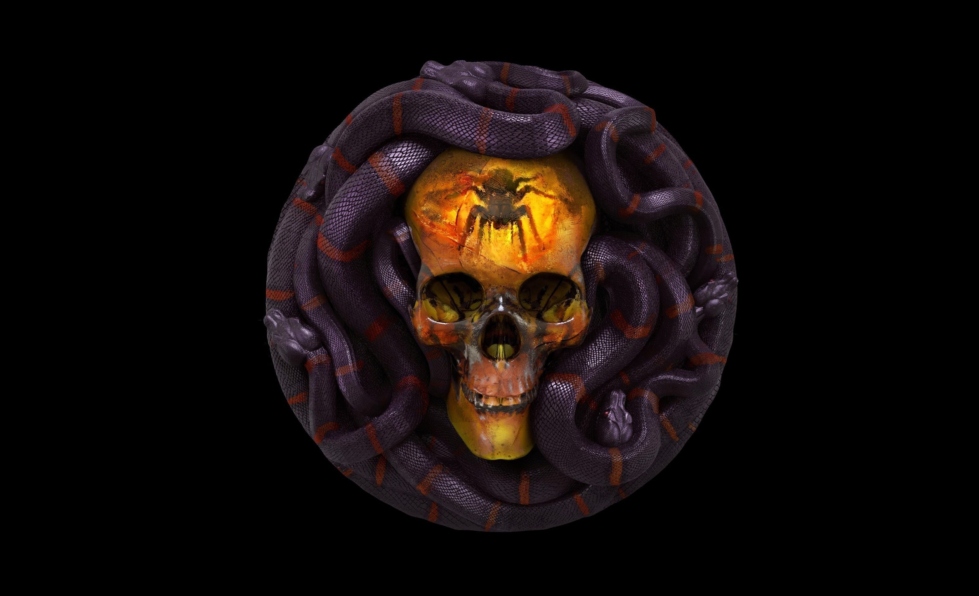 Wallpaper Spider, Artistic, Snake, Skull:3128x1904