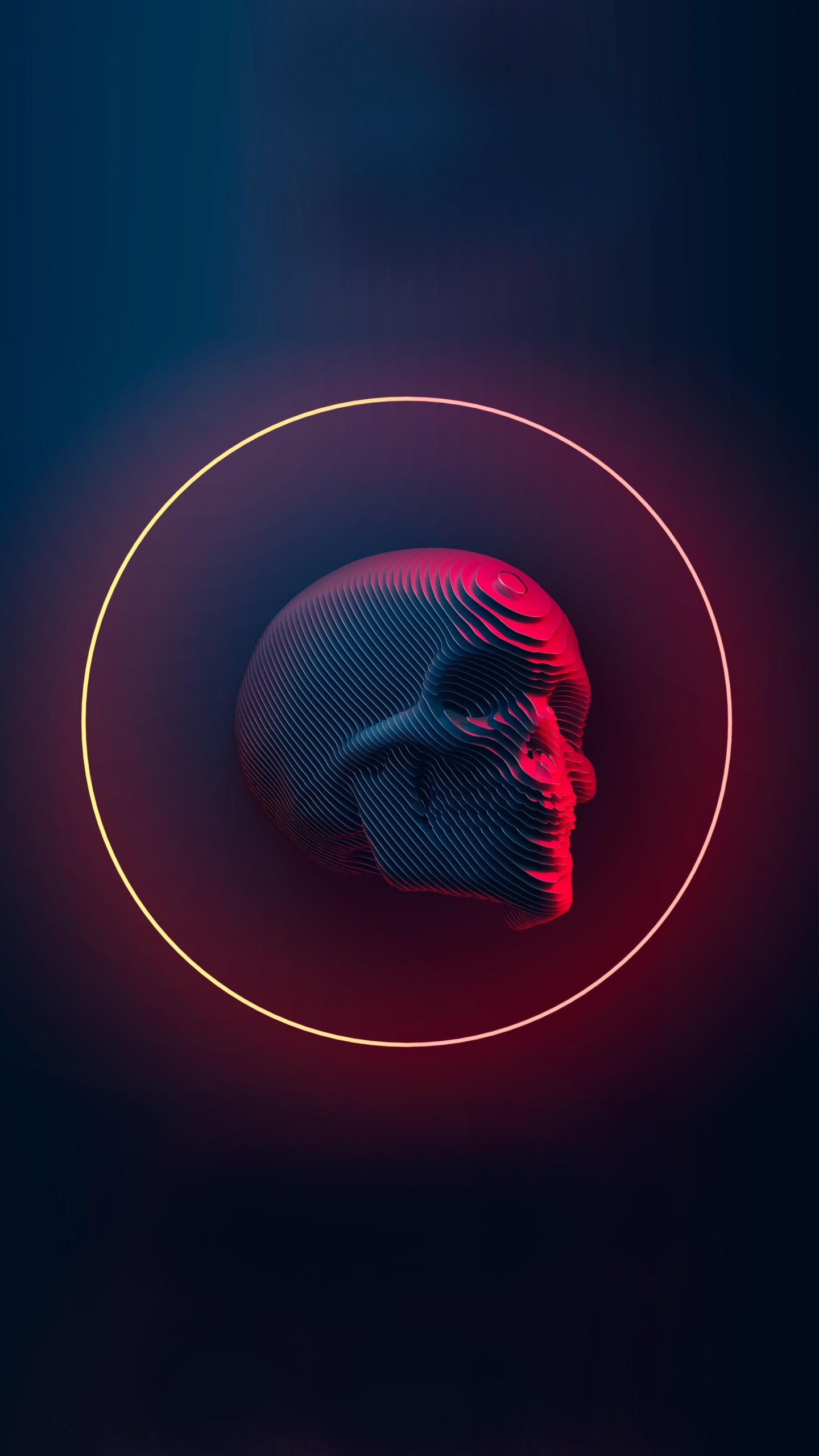 Aesthetic Skull Wallpaper HD For Tech