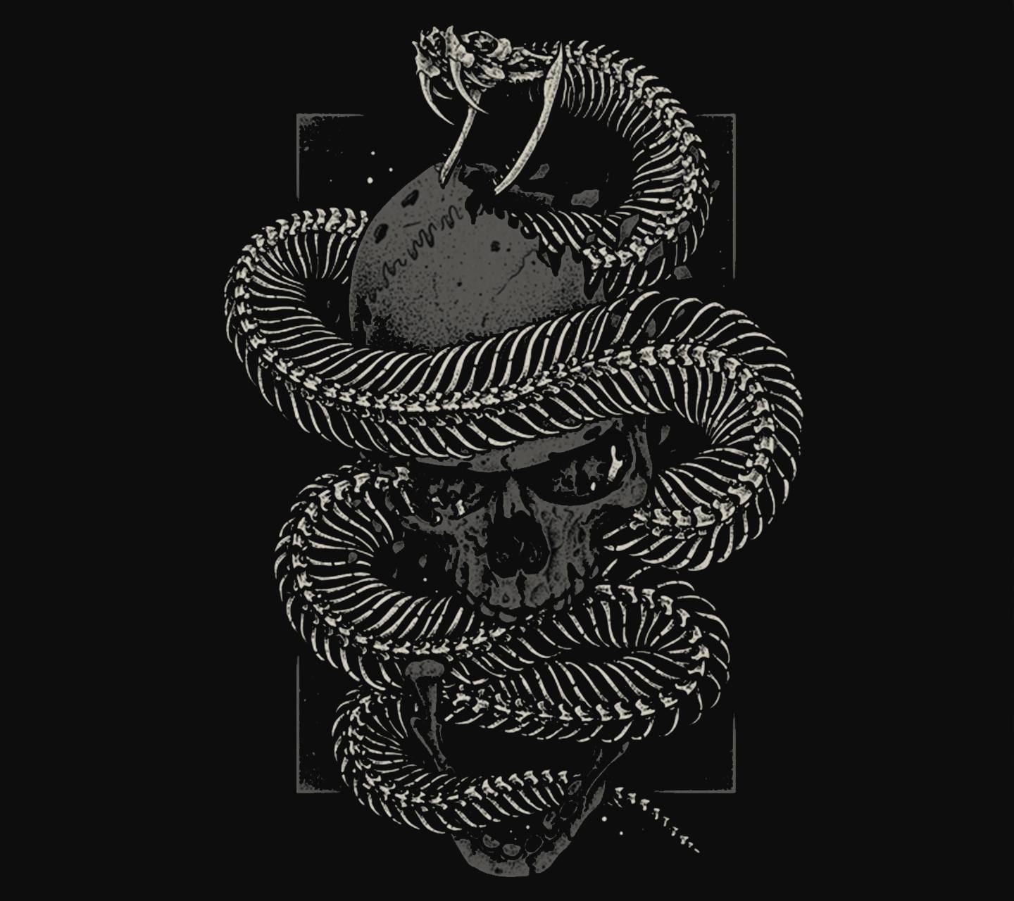 Skull And Snake Wallpaper