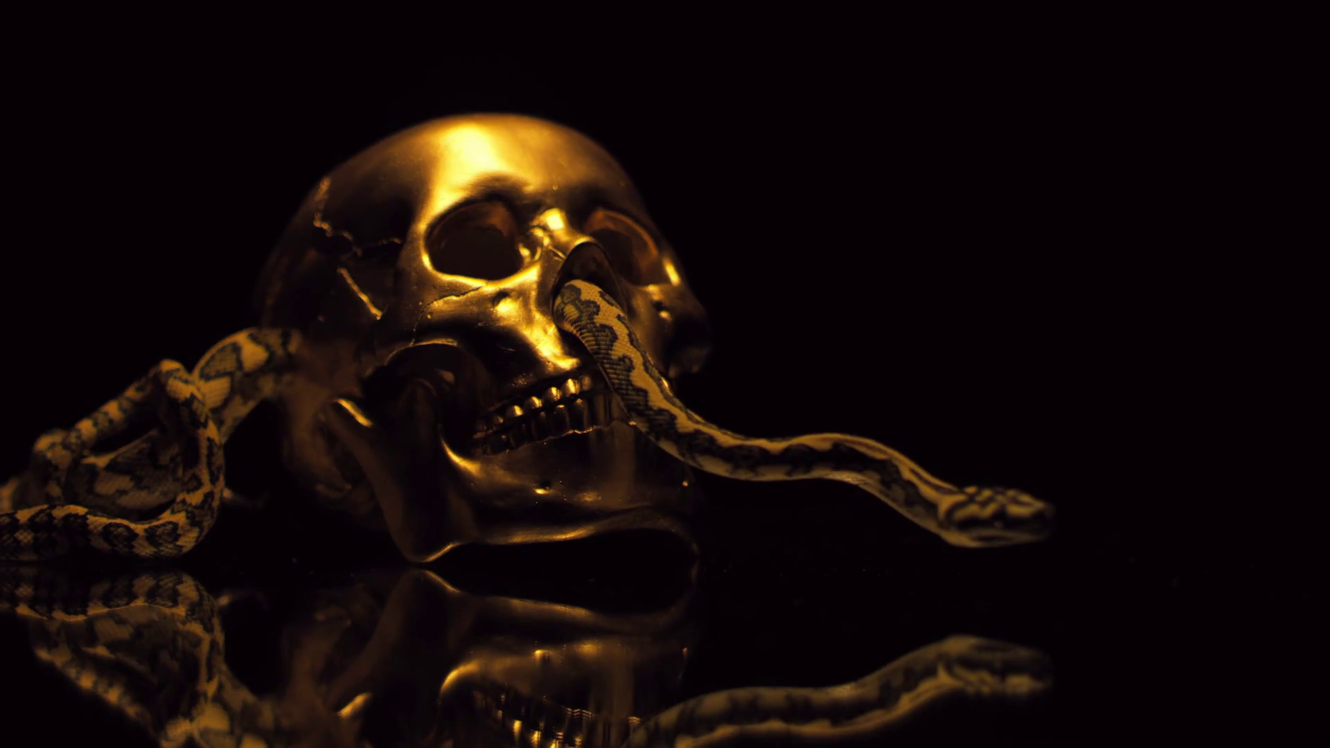 Golden Skull Wallpaper