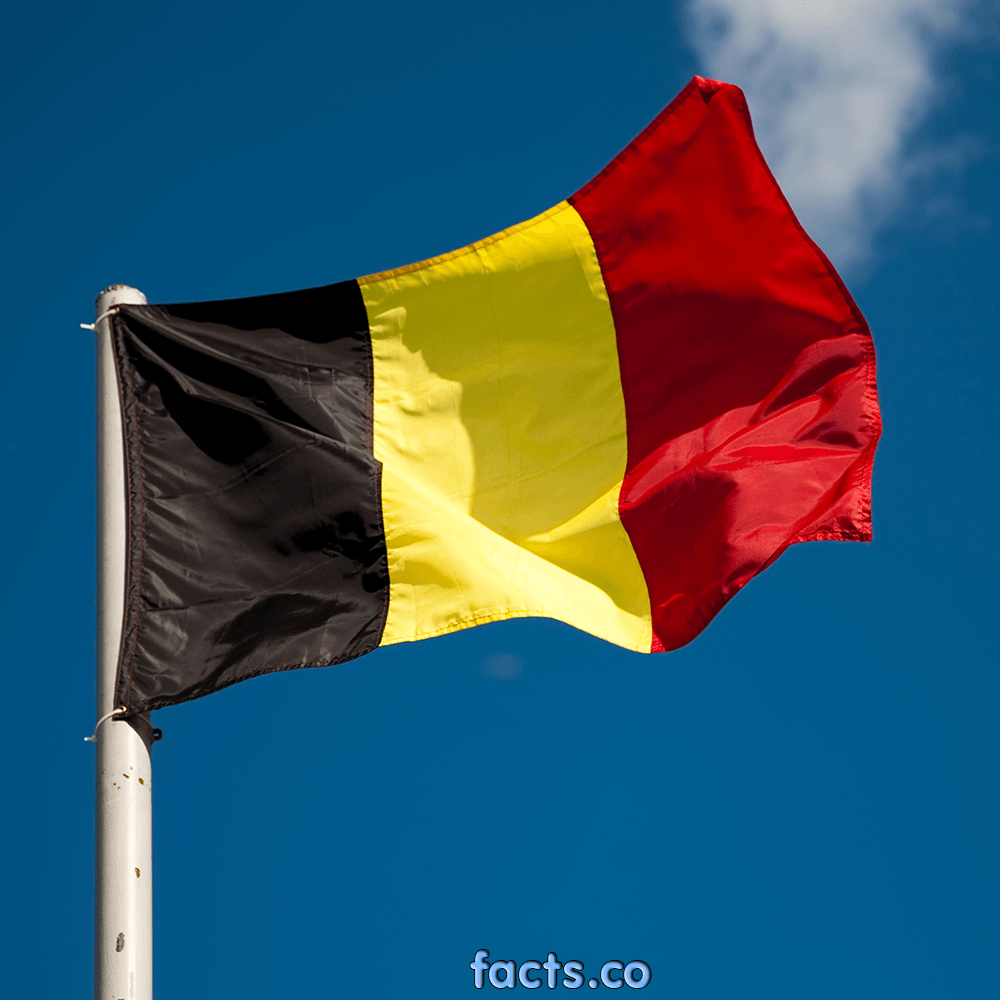 Flag Of Belgium Symbol Of Independence. Picture & Image