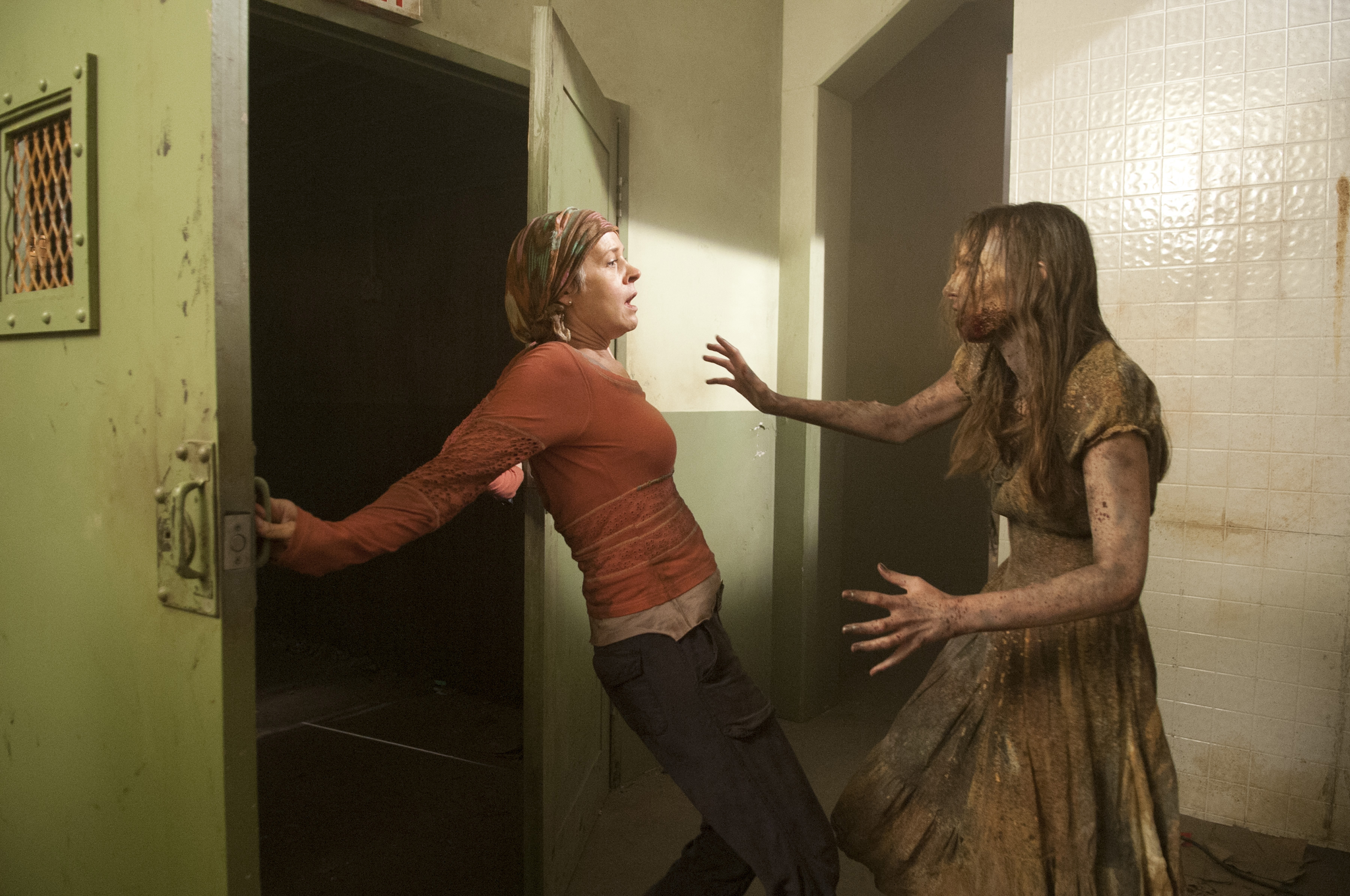 Carol Peletier HD Wallpaper and Background