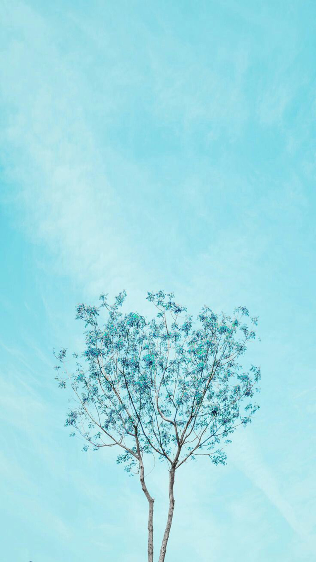 Light Blue Aesthetic Wallpaper for Mobile