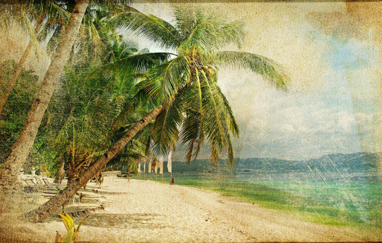 Wallpaper sea, palm trees, people, coast, vintage, vintage, old photo image for desktop, section природа