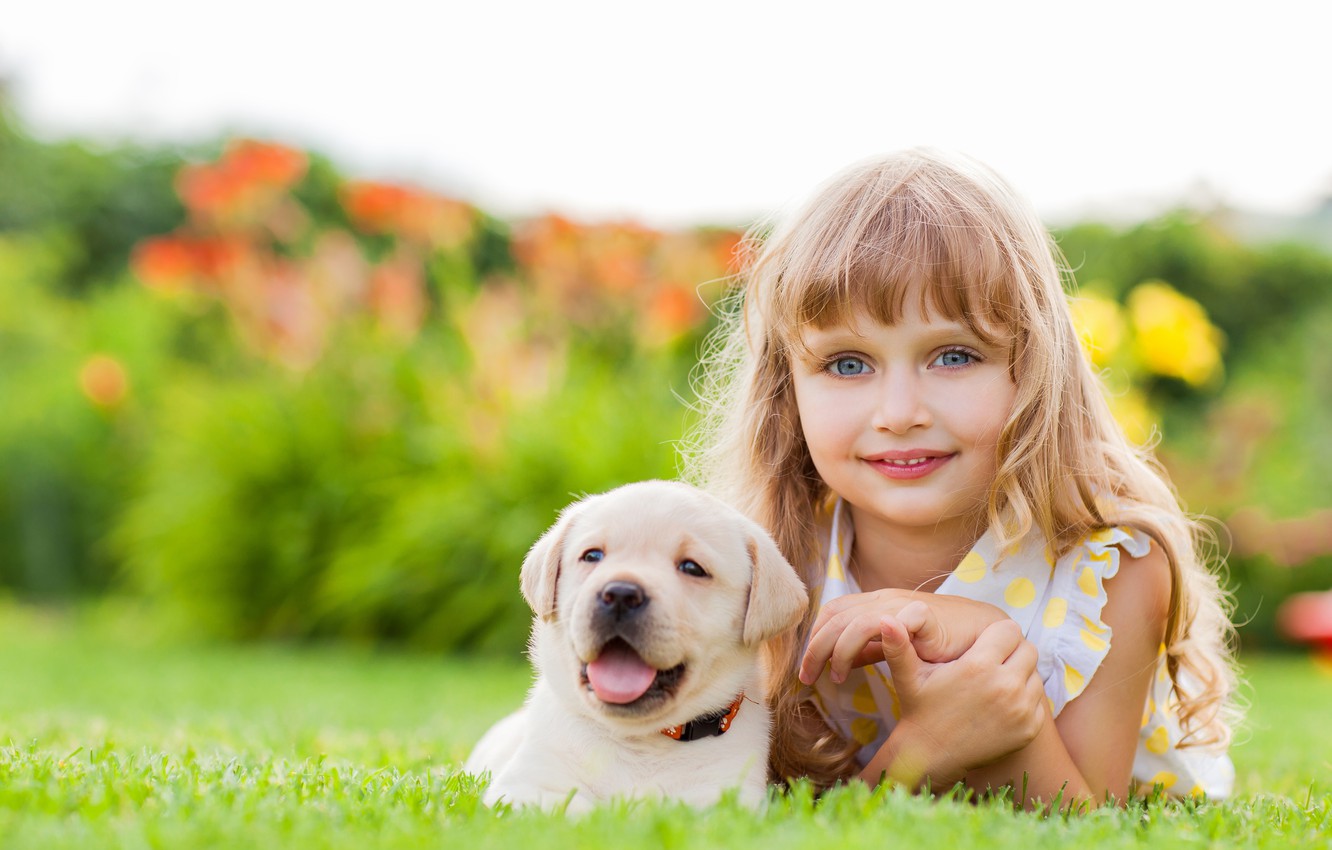 Wallpaper face, smile, girl, puppy, friends, puppy, face, Retriever, dogs, glance, little girls image for desktop, section настроения