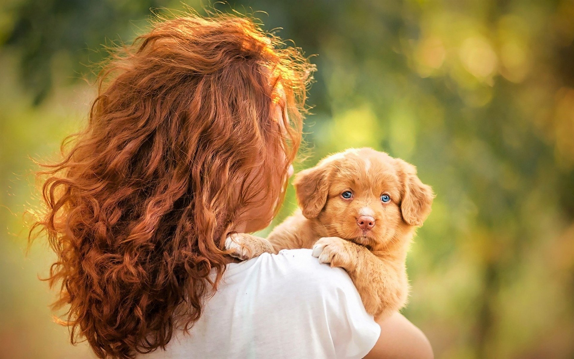 Red Haired Girl With Red Haired Puppy HD Wallpaper