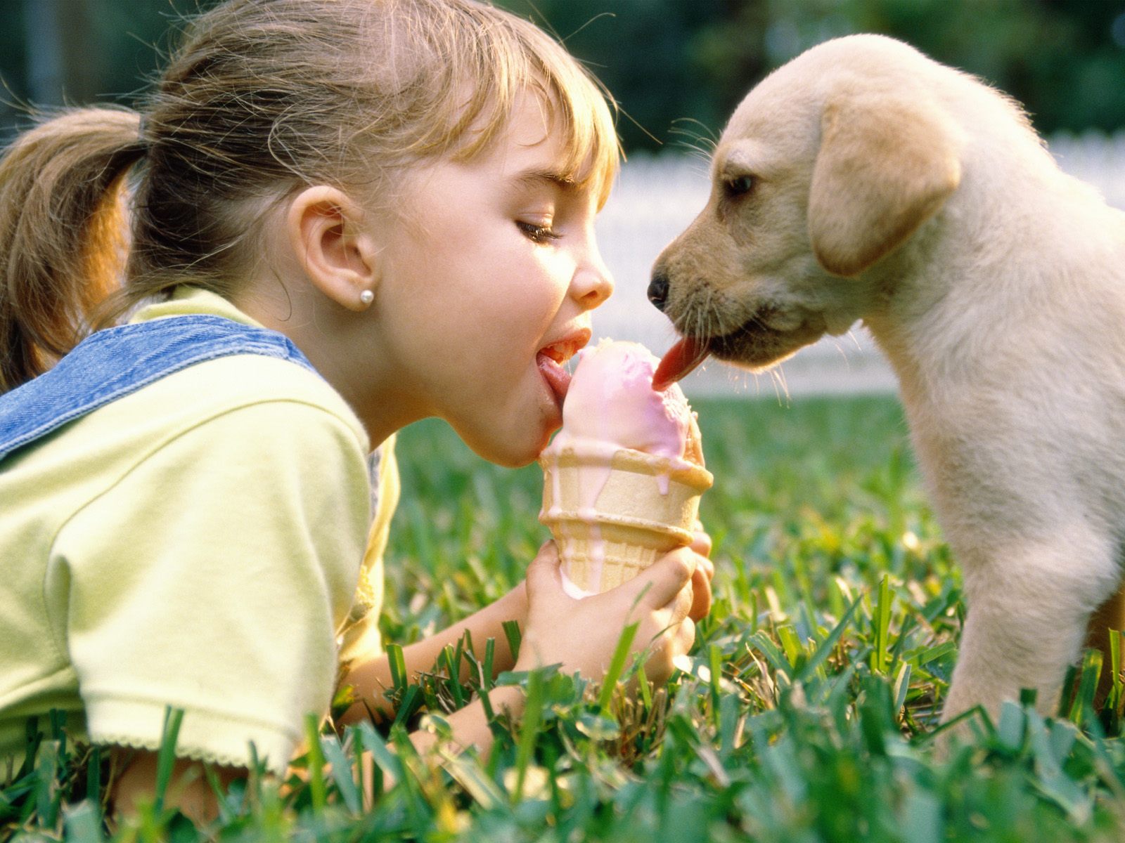 Puppy Dog And Girl Wallpapers.