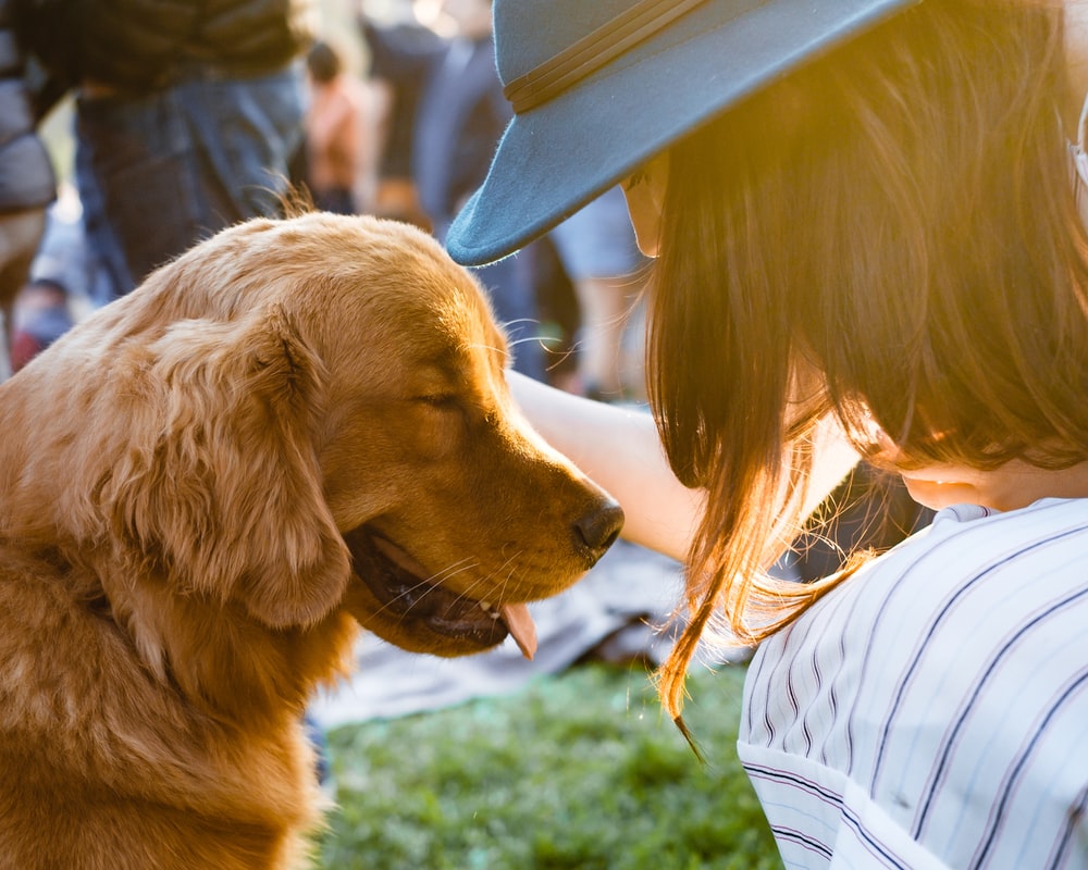 Girl And Pet Picture [HD]. Download Free Image