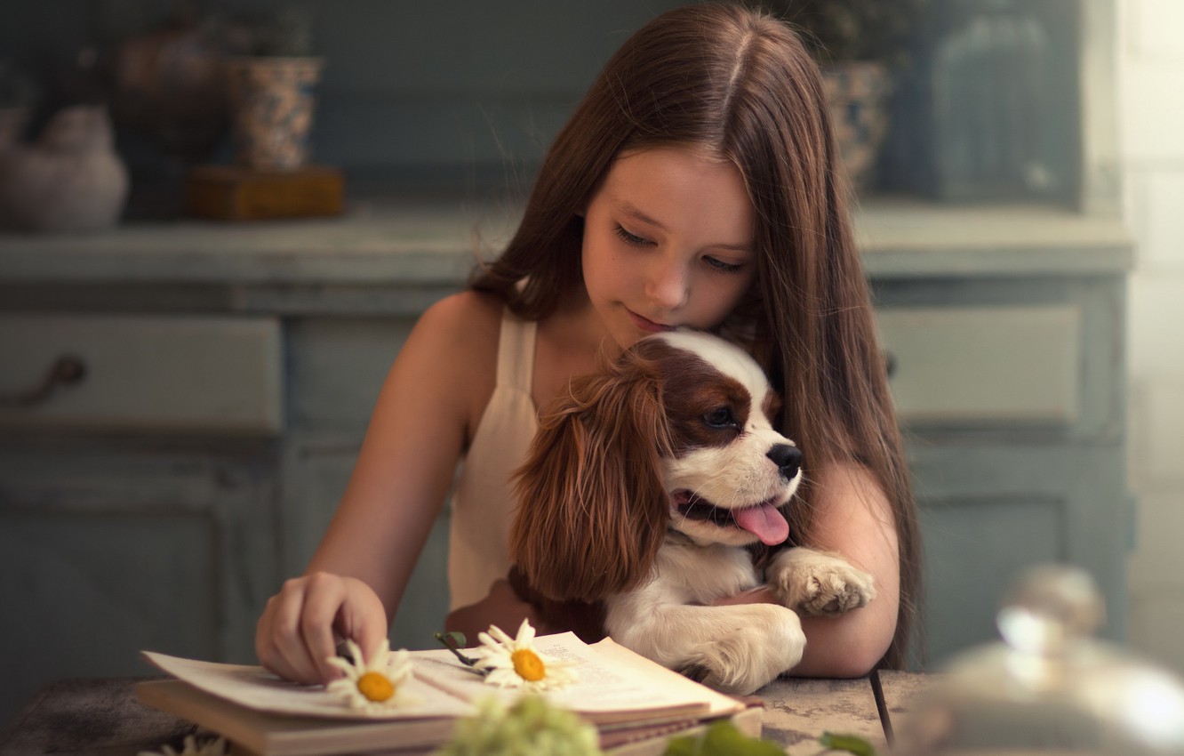 Wallpaper dog, girl, book image for desktop, section настроения