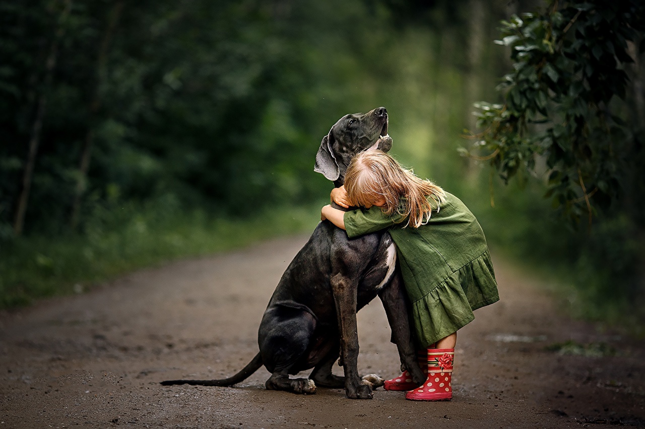 Desktop Wallpaper Little girls Dogs Svetlana Shelemeteva Children