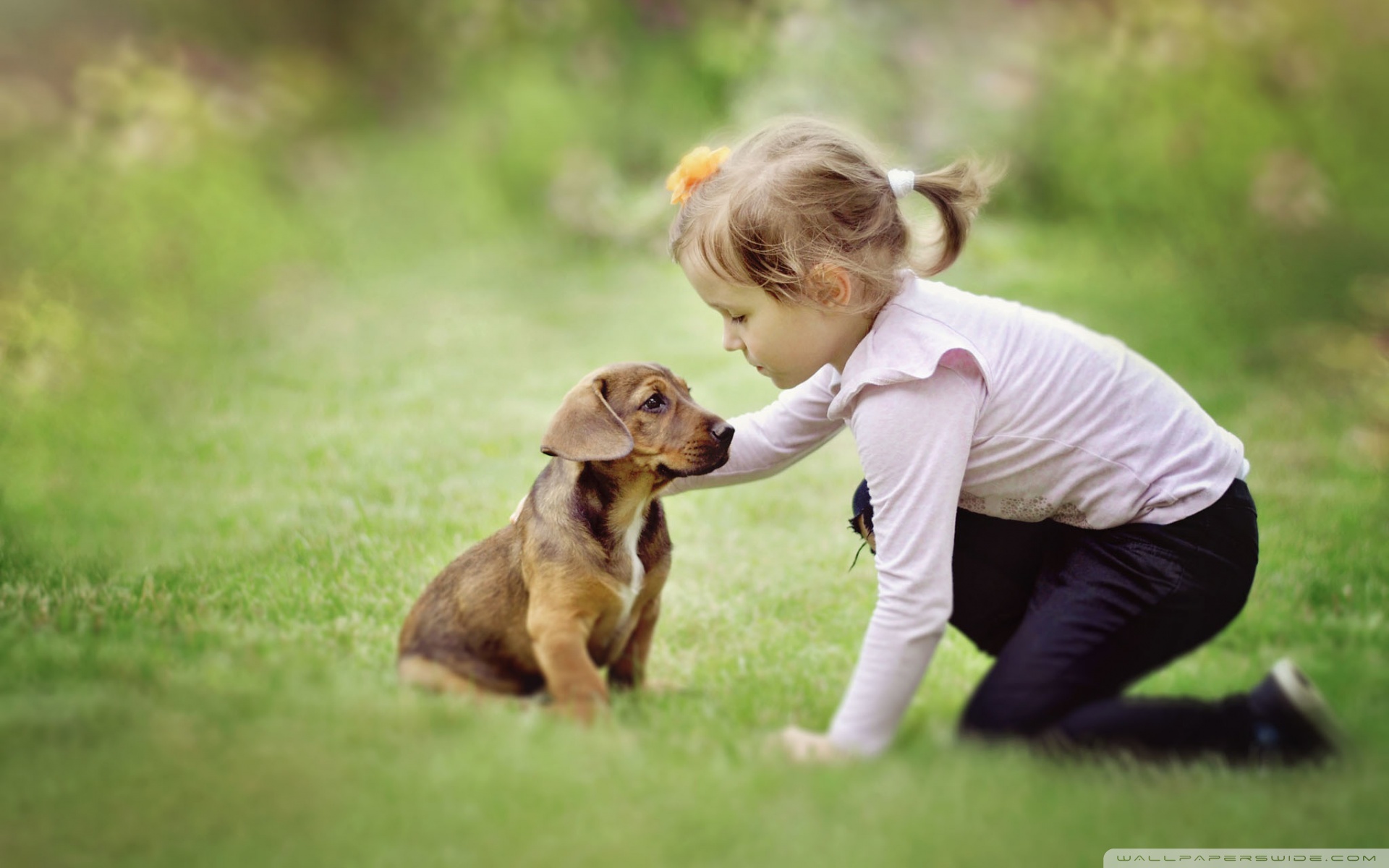 Girl with puppy Ultra HD Desktop Background Wallpaper for: Widescreen & UltraWide Desktop & Laptop