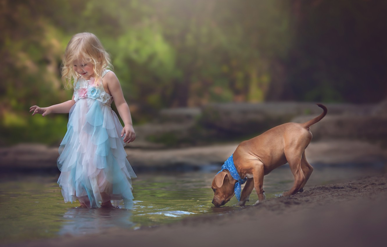 Puppy Dog And Girl Wallpapers - Wallpaper Cave