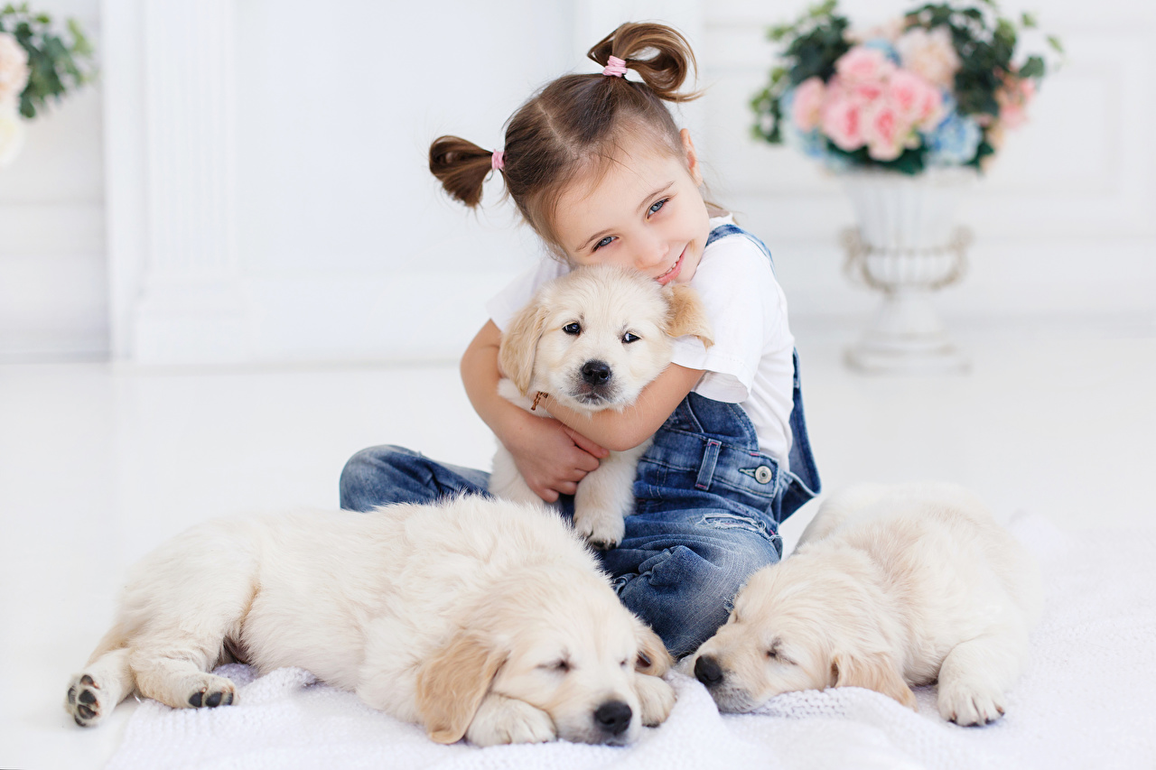 Desktop Wallpaper puppies Retriever Little girls dog Smile Children