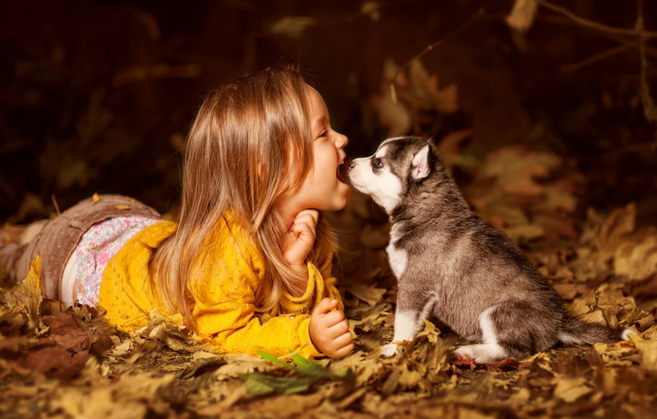 Wallpaper child, dog, girl, puppy, friends, husky image for desktop, section настроения