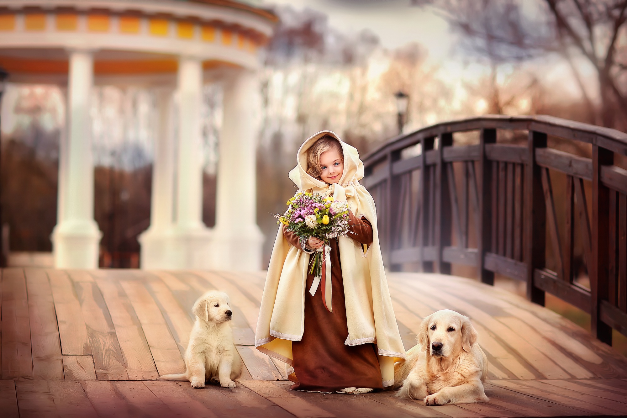 Dog Bouquet Girl Puppy Labrador Depth Of Field Wallpaper:2000x1333