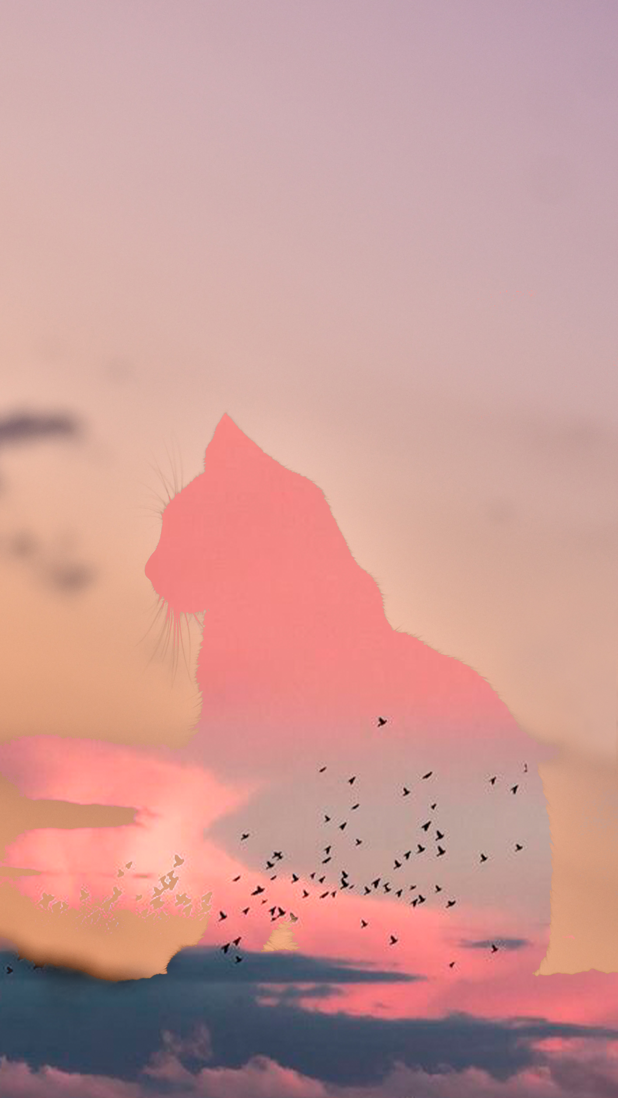 Cat Mobile Wallpaper Thypix 28