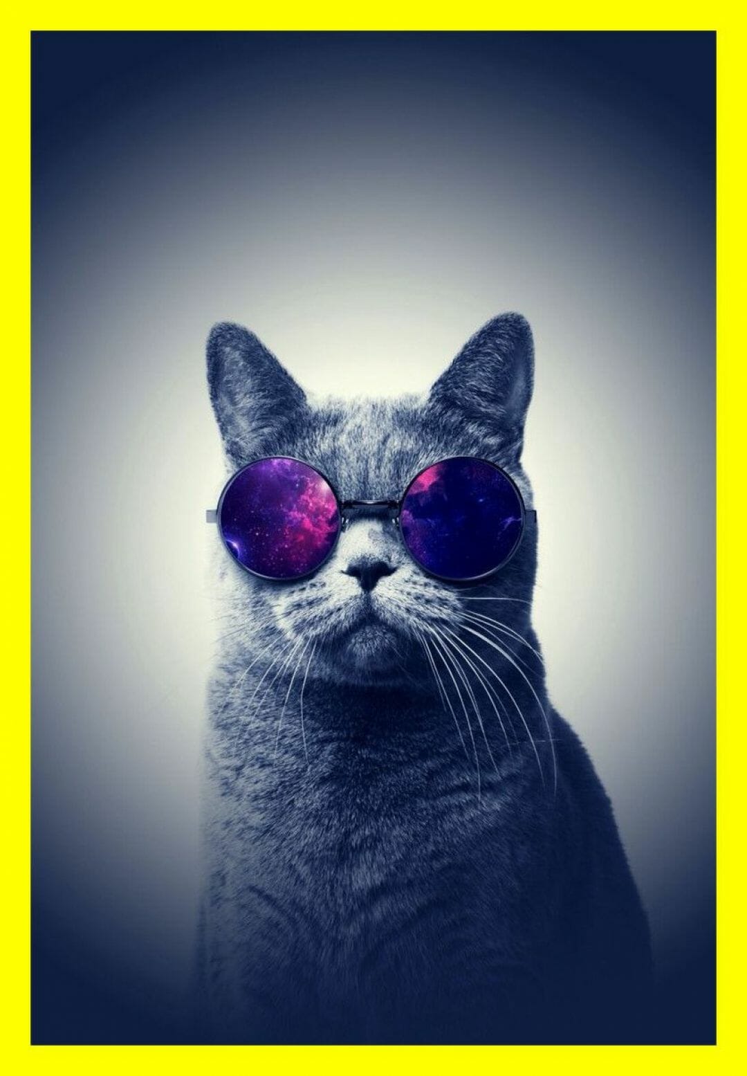 Inspiring Kitty Cat Background For Any Phone Wallpaper Image Cute