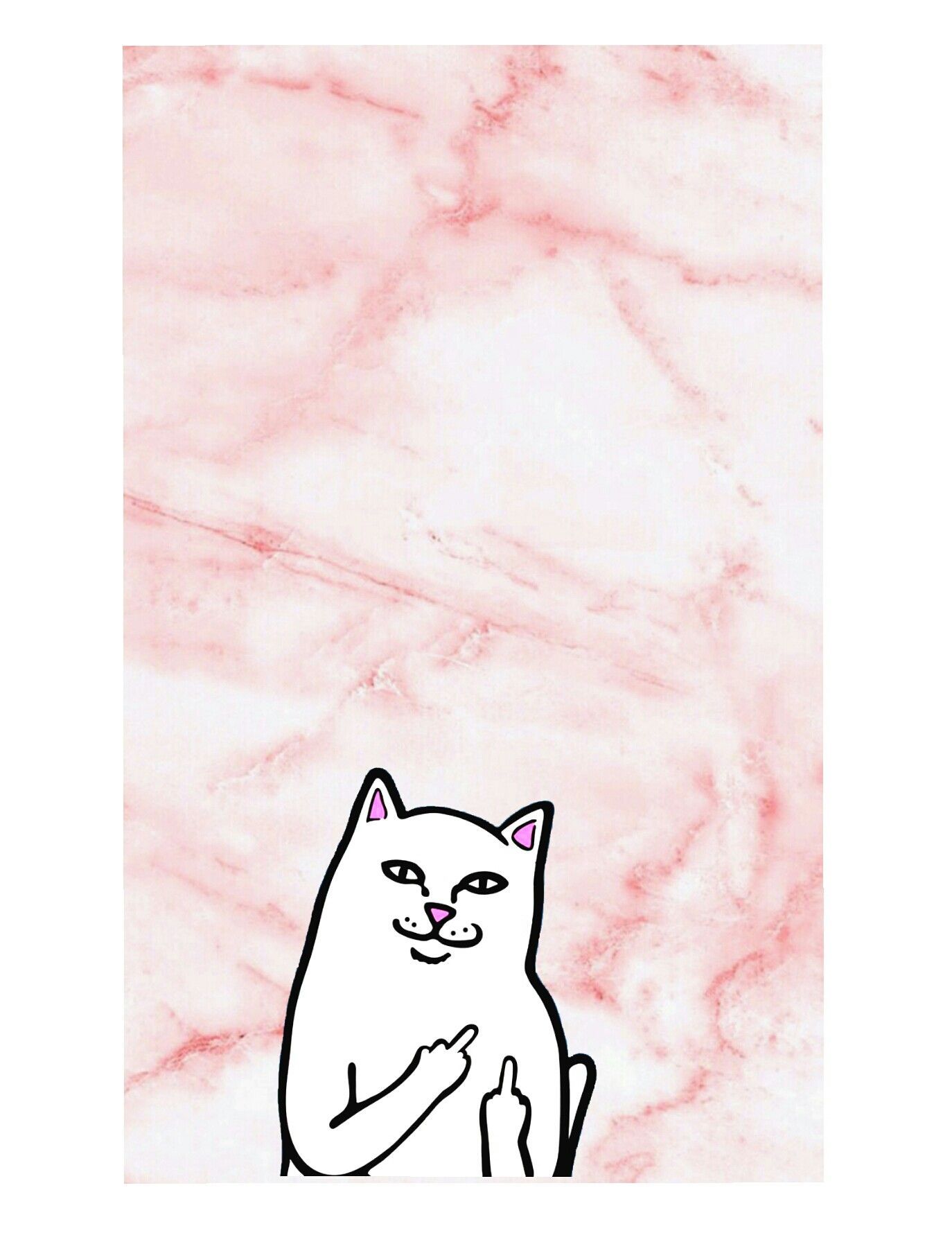 Pink Cat Wallpaper