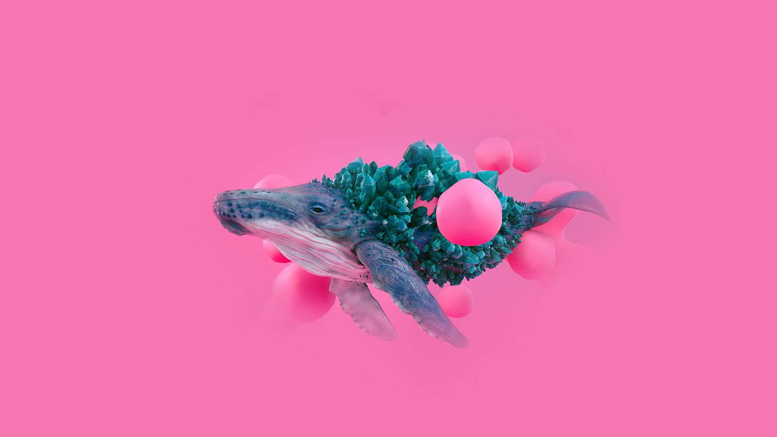 wallpaper for desktop, laptop. whale pink bubble illustration digital art animal