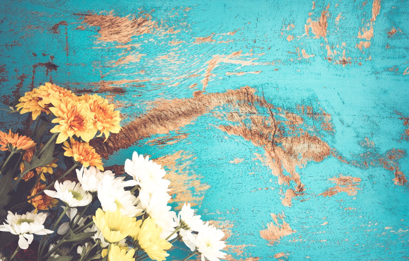 Wallpaper flowers, bouquet, summer, vintage, flower, chrysanthemum, blue, spring image for desktop, section цветы
