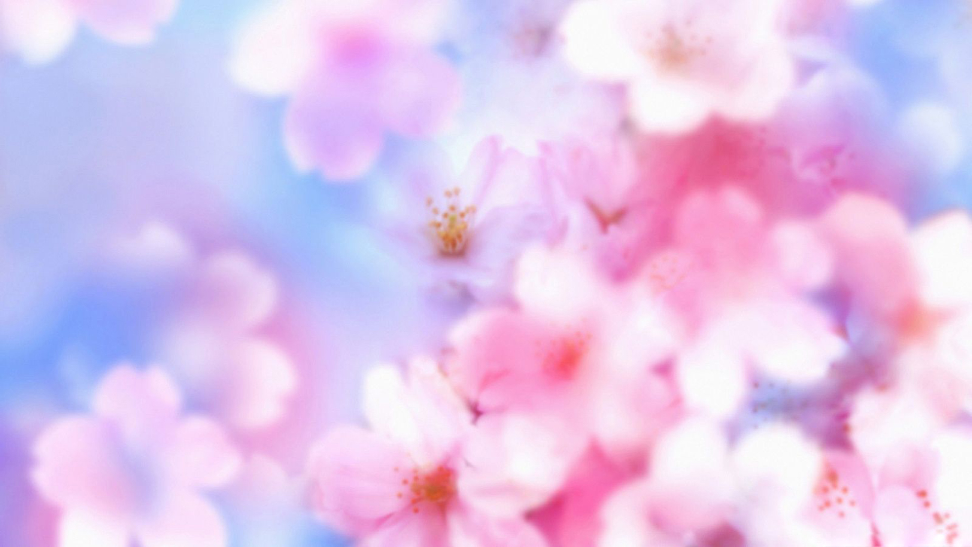 Cute Spring Background Free Download