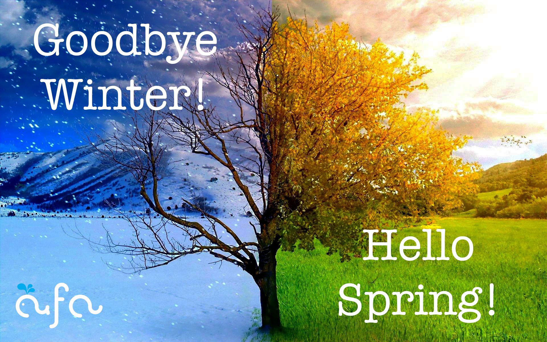 goodbye winter welcome spring