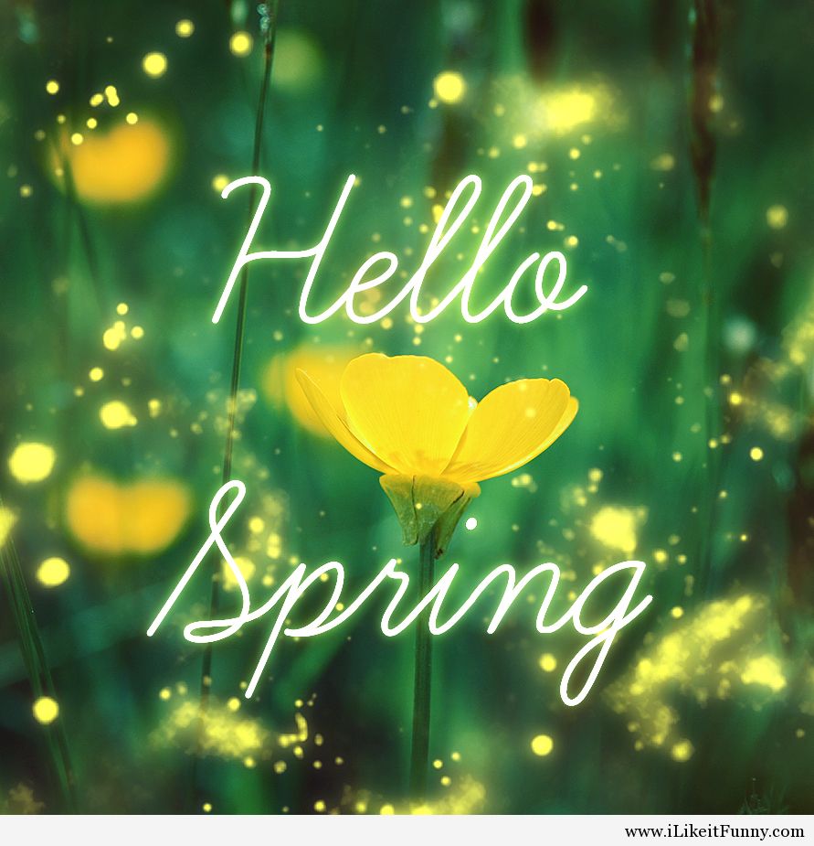 Free download Hello Spring Tumblr Hello Spring Wallpaper [891x925] for your Desktop, Mobile & Tablet. Explore Tumblr Hello Spring Wallpaper. Summer Tumblr Wallpaper, Cute Spring Wallpaper Tumblr, Tumblr Wallpaper Background