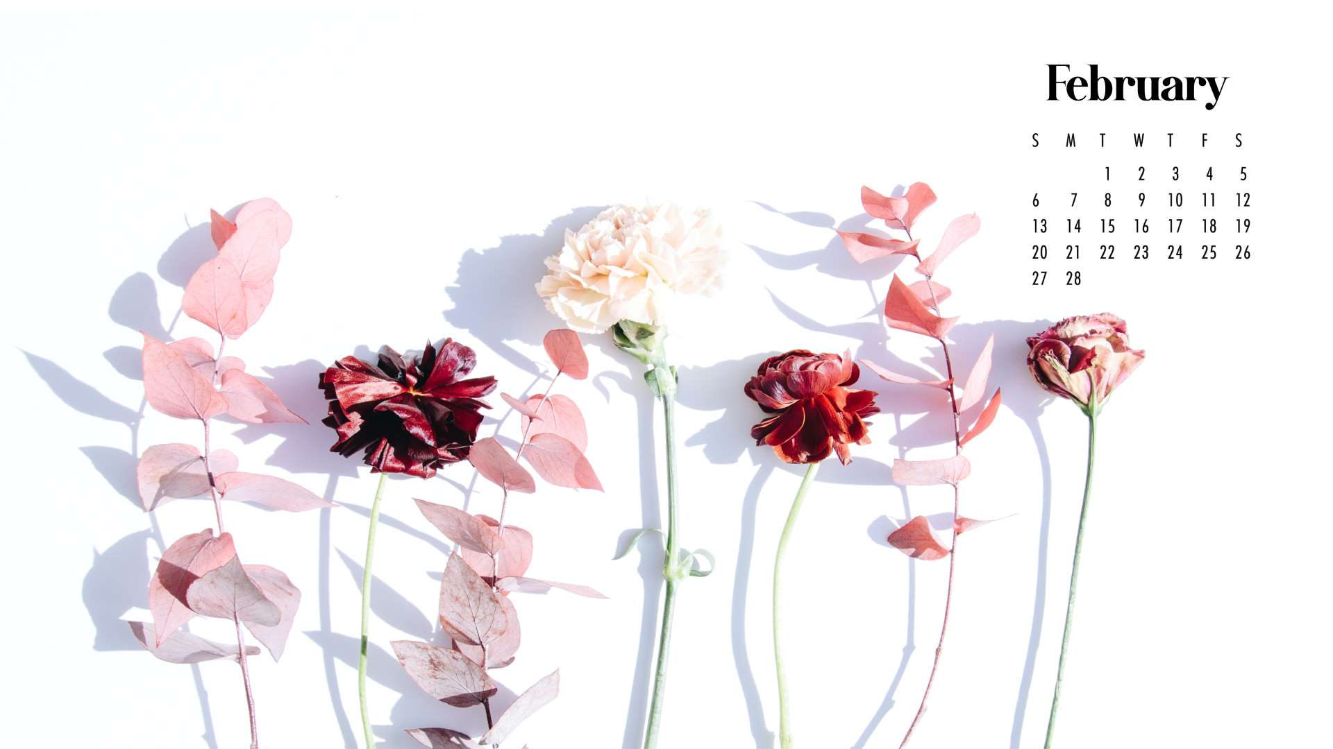 February Calendar Wallpaper Best Desktop & Phone Background