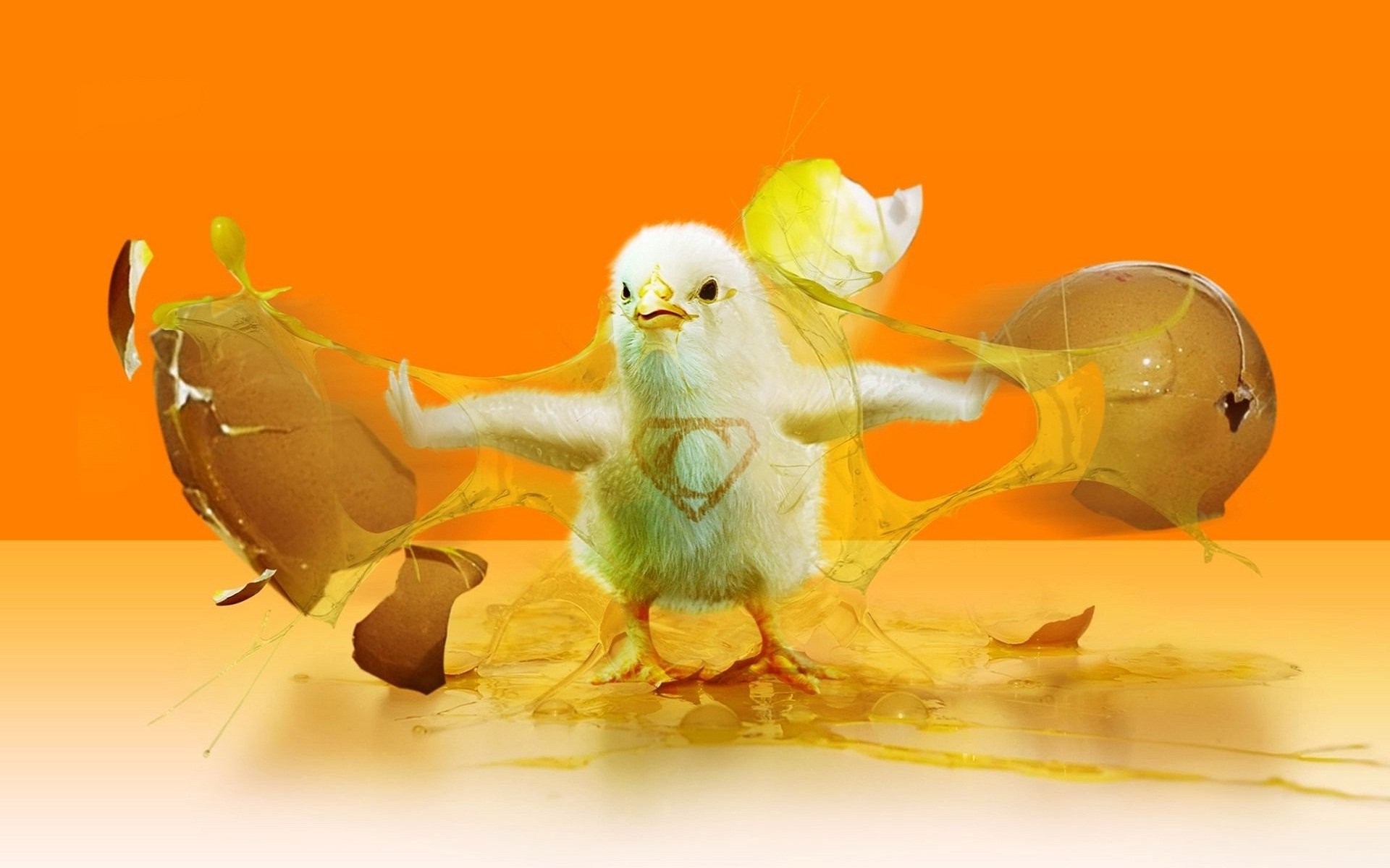 chicken wallpaper, yellow, animation, illustration, macro photography, fictional character