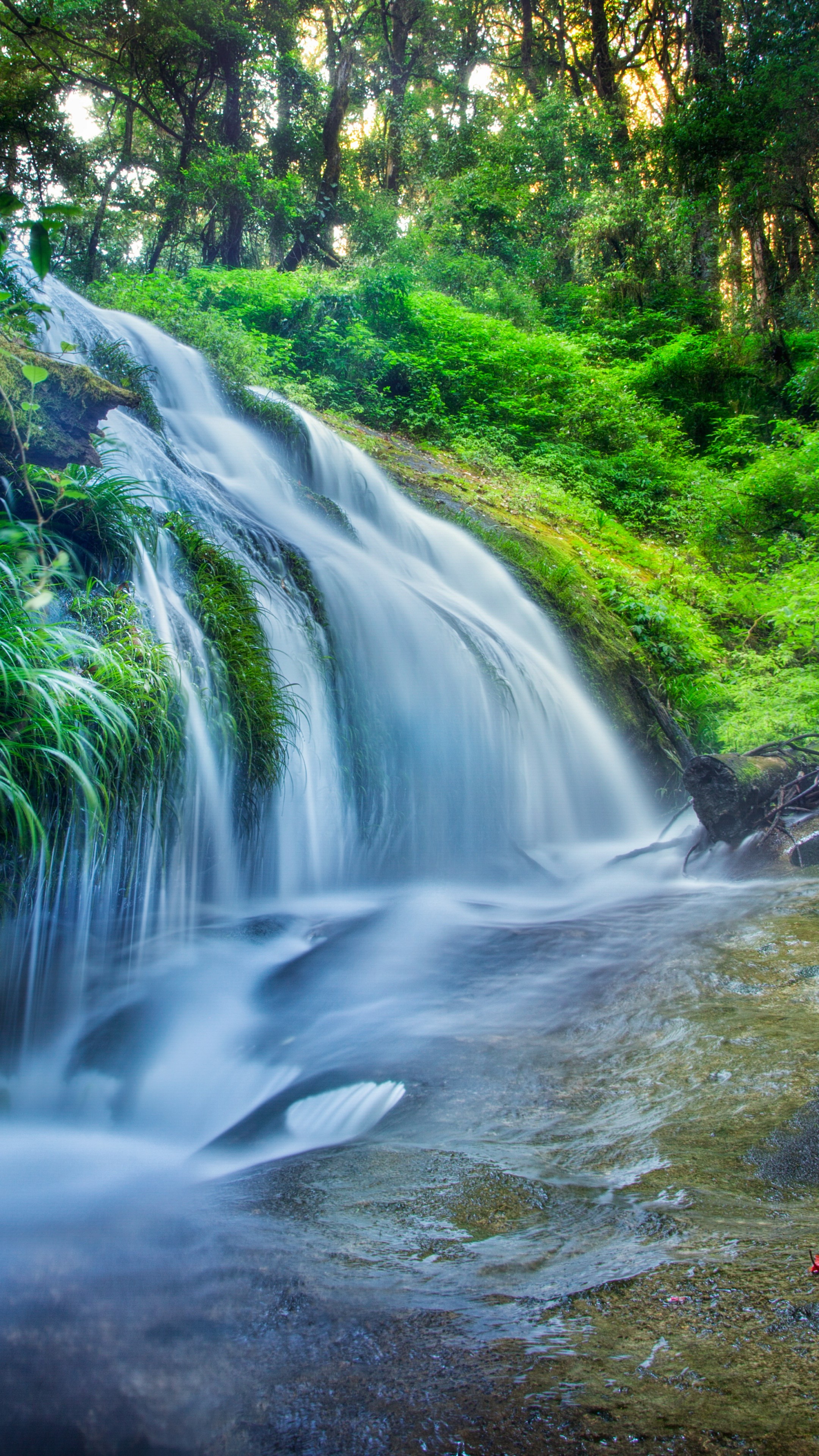 Wallpaper forest, 5k, 4k wallpaper, 8k, rocks trees, plants, waterfall, river, Nature
