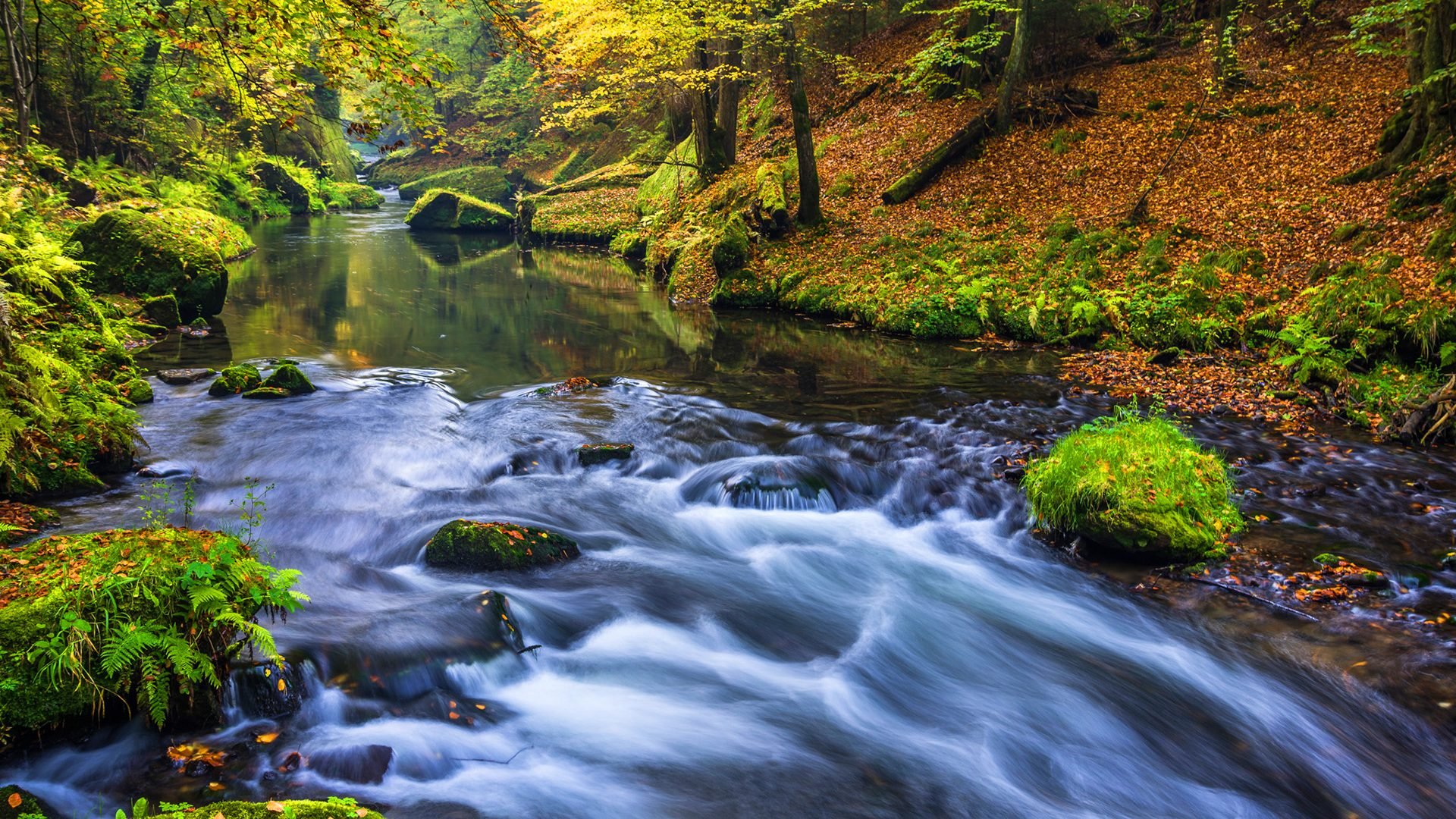 Beautiful Nature Forest River Wallpaper HD High Definition