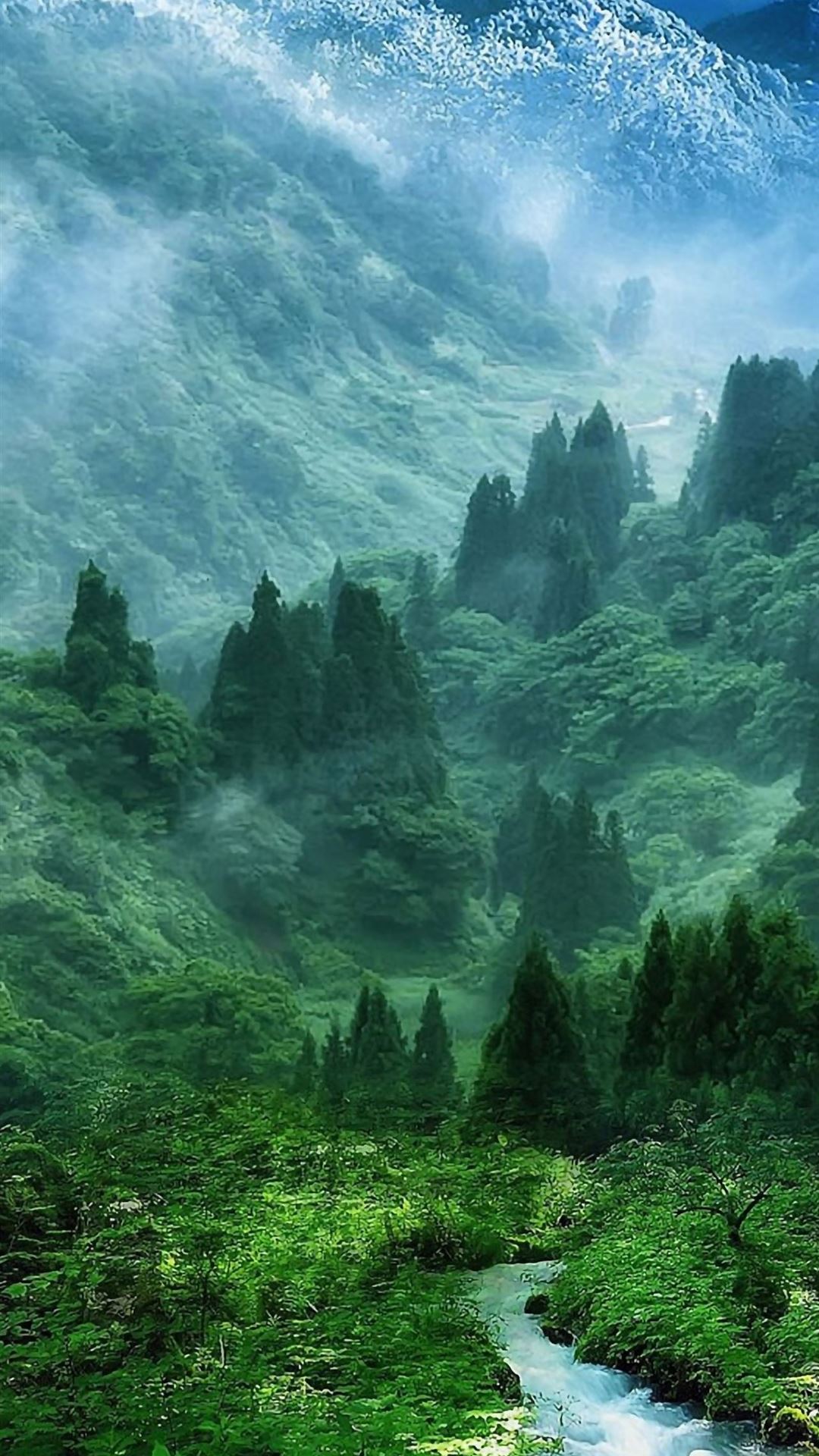 Nature Mist Mountain Wood Forest River Landscape iPhone Wallpaper Free Download