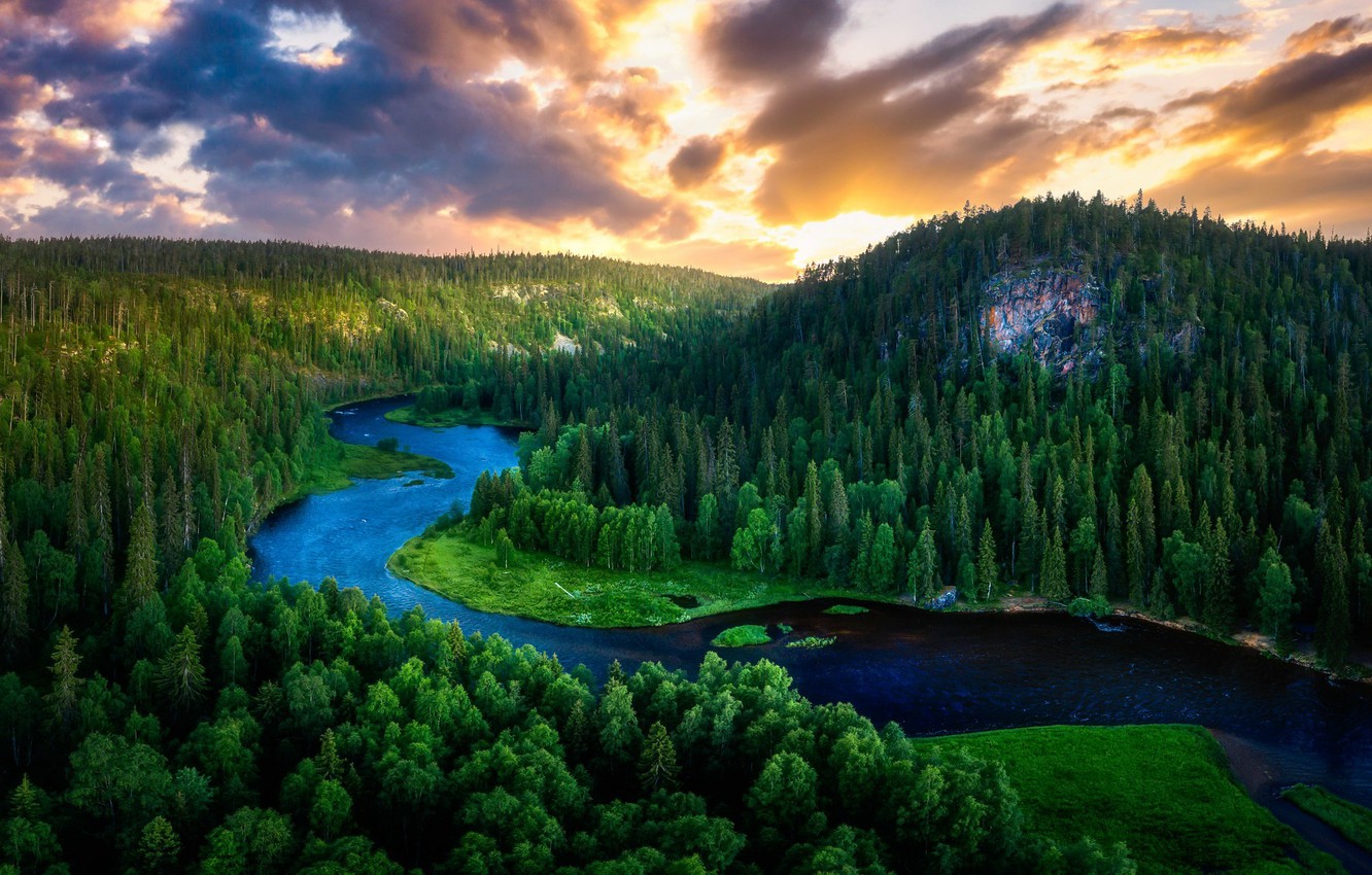 Wallpaper forest, summer, nature, river image for desktop, section пейзажи