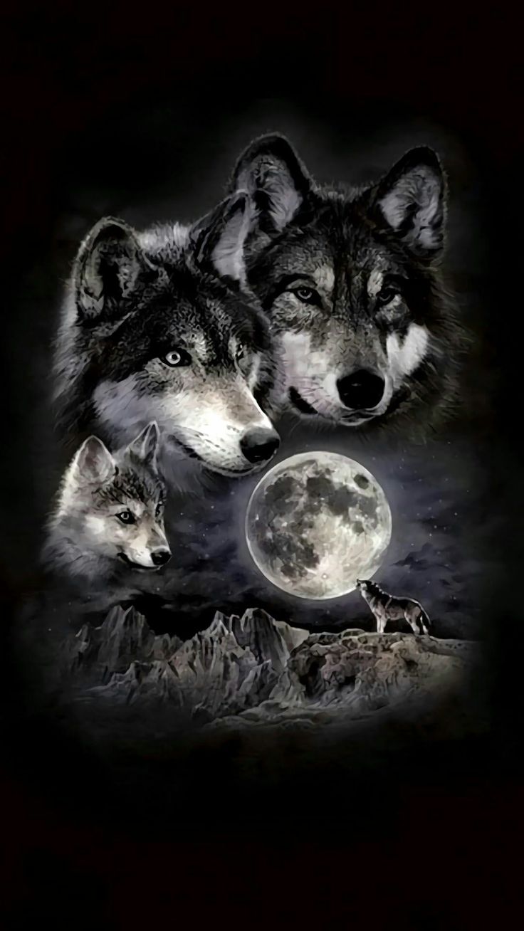 2018'S Best Wolf Book Covers. Wolf wallpaper, Wolf tattoos, Wolf spirit animal