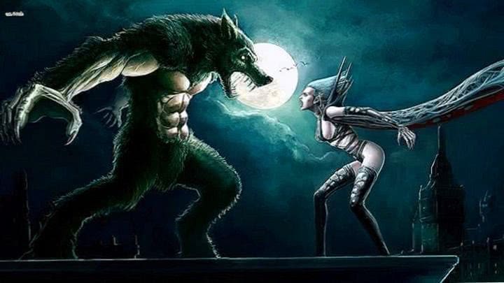 Vampire Vs Werewolf HD Wallpaper
