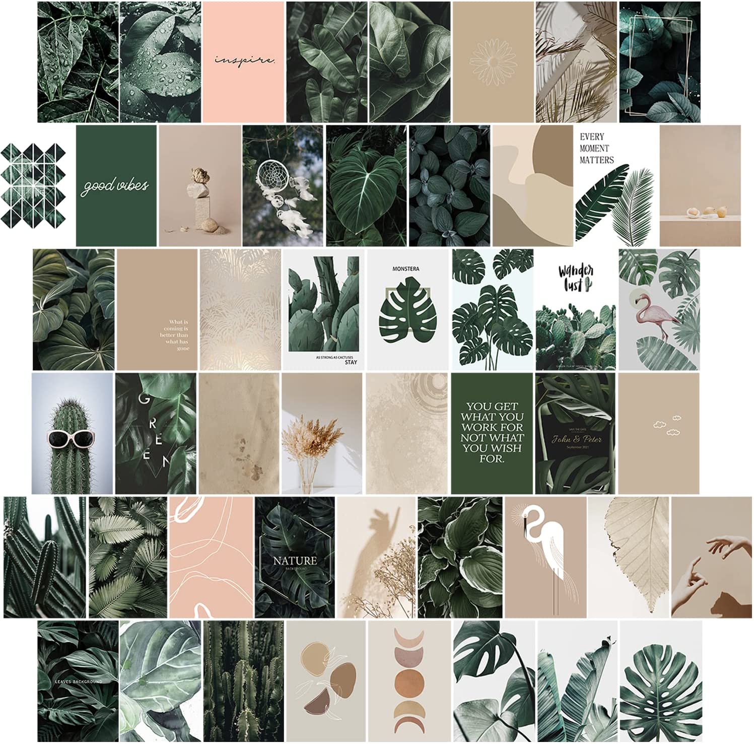 Wenshing Wall Collage Kit Aesthetic Picture, Boho Cottagecore Preppy Indie Room Decor for Teen Girls, Sage Green Botanical Wall Decor Art Posters for Bedroom Aesthetic (50PCS), Everything Else
