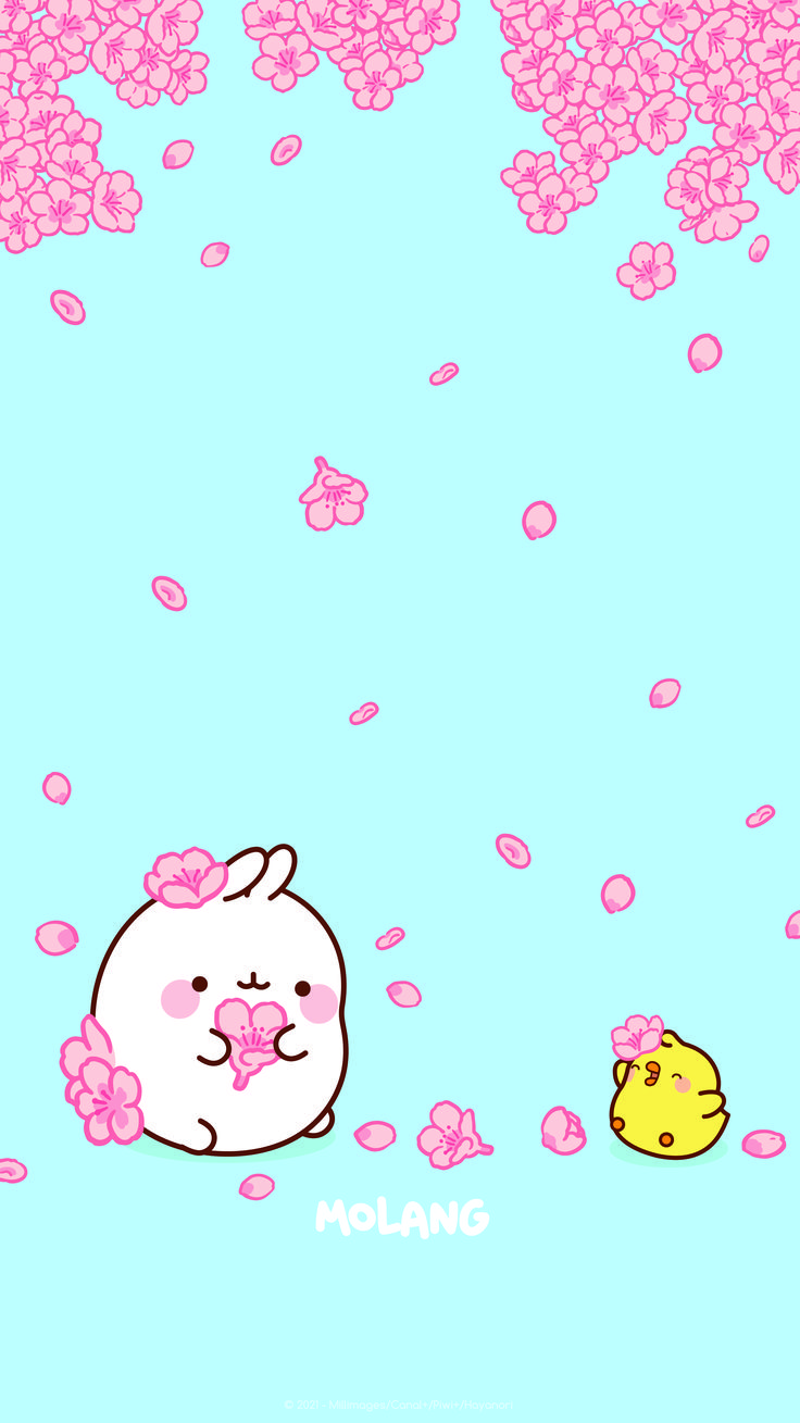 Cute Molang Spring Wallpapers - Wallpaper Cave